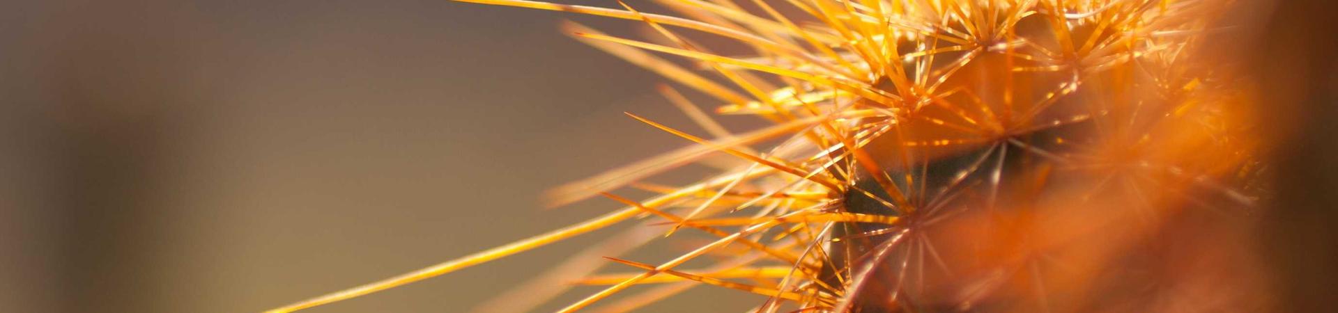 河北雄安穗博机电设备销售有限公司 &middot; 铜梁服务中心